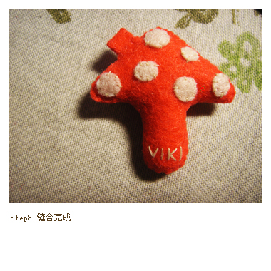 step8.jpg